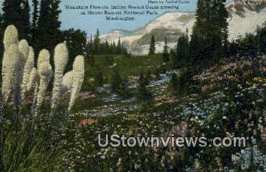 Indian Basket Grass - Mt. Rainier National Park, Washington WA Postcard