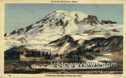 Mazama Ridge - Rainier National Park, Washington WA Postcard