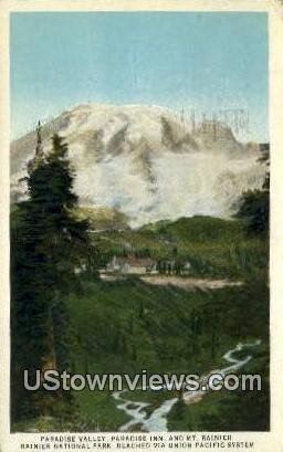 Paradise Valley - Mt Rainier, Washington WA Postcard