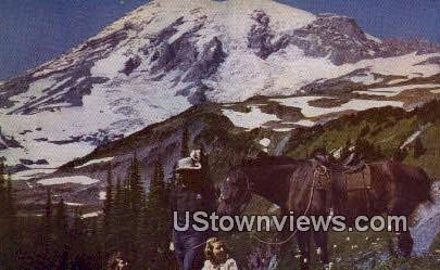 Mazama Ridge - Mt Rainier, Washington WA Postcard