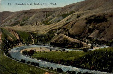Horseshoe Bend - Naches River, Washington WA Postcard