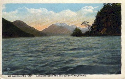 Lake Crescent - Olympia, Washington WA Postcard