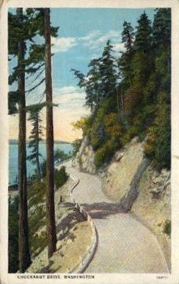 Chuckanut Drive - Puget Sound, Washington WA Postcard