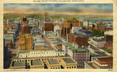 Section of Metropolitan Seattle - Washington WA Postcard