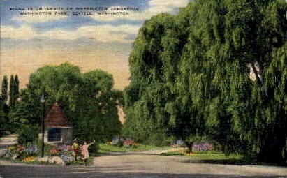 U of Washington Arboretum - Seattle Postcard