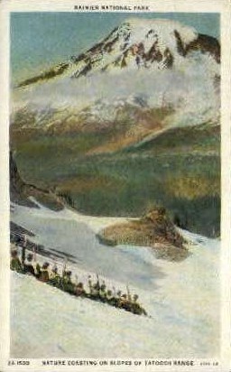 Slopes of Tatoosh Range - Rainier National Park, Washington WA Postcard