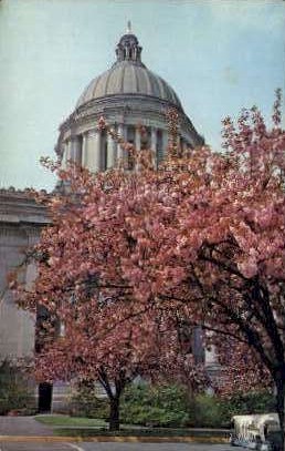Spring at the State Capitol - Olympia, Washington WA Postcard