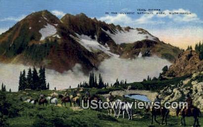 Trail Riders - Olympic National Park, Washington WA Postcard