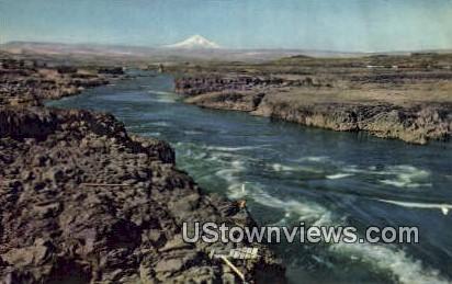 Columbia River, WA     ;     Columbia River, Washington Postcard