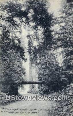 Woodland Park - Seattle, Washington WA Postcard