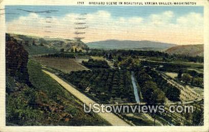 Orchard - Yakima Valley, Washington WA Postcard