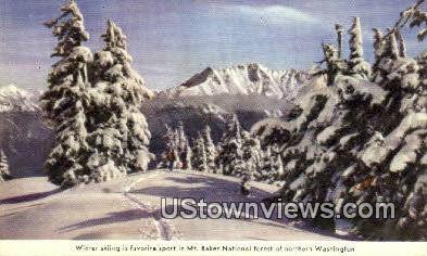 Mt. Baker National Forest, Wash,     ;     Mt. Baker National Forest, WA - Washington WA Postcard