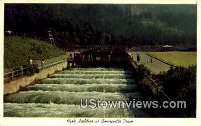 Fish Ladder - Bonneville Dam, Washington WA Postcard