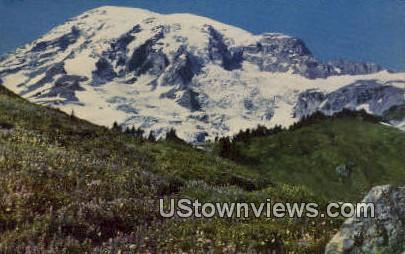 Alta Vista - Mt Rainier, Washington WA Postcard