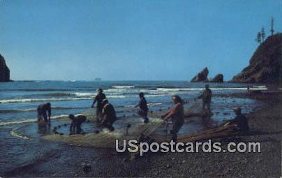 Smelt Fishing - Pacific Ocean Seacoast, Washington WA Postcard