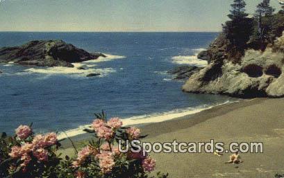 Pacific Ocean Seacoast, Washington Postcard     ;      Pacific Ocean Seacoast, WA