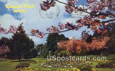 Seward Park - Seattle, Washington WA Postcard