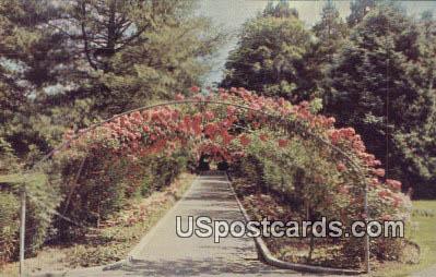 Rose Arbor, Point Defiance Park - Tacoma, Washington WA Postcard