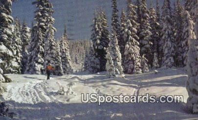Mount Spokane, WA Postcard      ;      Mount Spokane, Washington
