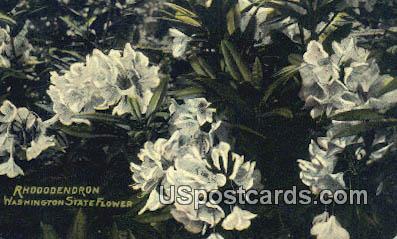 Rhododendron - State Flower, Washington WA Postcard