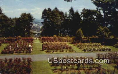 Washington Park - Portland Postcard