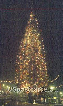Champion Christmas Tree - Tacoma, Washington WA Postcard