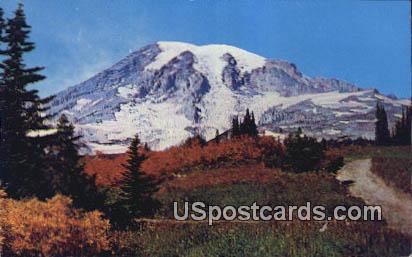 Mt Rainier - Paradise Valley, Washington WA Postcard
