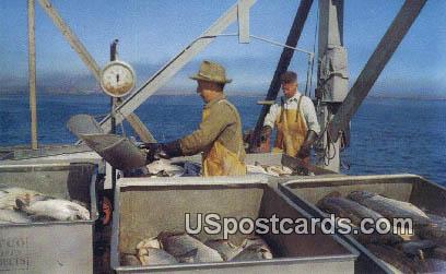Unloading Salmon - Misc, Washington WA Postcard