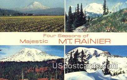 Mt Rainier, Washington Postcard     ;      Mt Rainier, WA