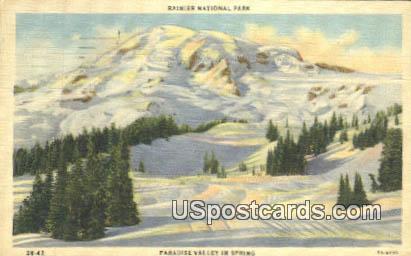 Paradise Valley - Rainier National Park, Washington WA Postcard