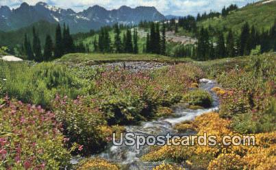 Mt. Rainier National Park, Washington Postcard     ;      Mt. Rainier National Park, WA
