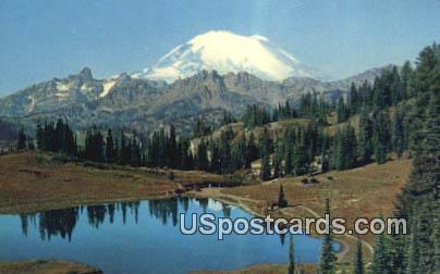 Mt. Rainier National Park, WA Postcard      ;      Mt. Rainier National Park, Washington