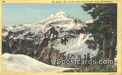 Austin Pass, Washington Postcard     ;      Austin Pass, WA