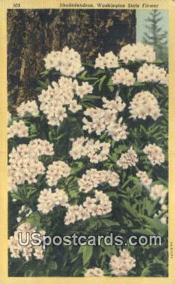 Rhododendrons - State Flower, Washington WA Postcard