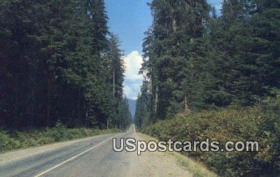 Western Washington Highway, Washington Postcard     ;      Western Washington Highway, WA - Western Washington Highway Postcards