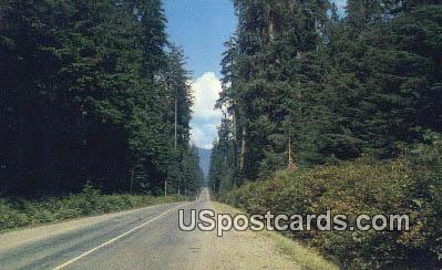 Western Washington Highway, WA Postcard      ;      Western Washington Highway, Washington - Western Washington Highway Postcards