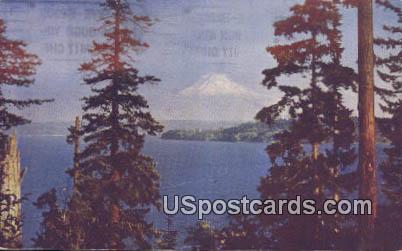 Mt Rainier, Washington Postcard     ;      Mt Rainier, WA