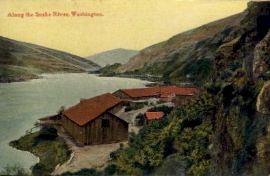 Along The Snake River  - Misc, Washington WA Postcard