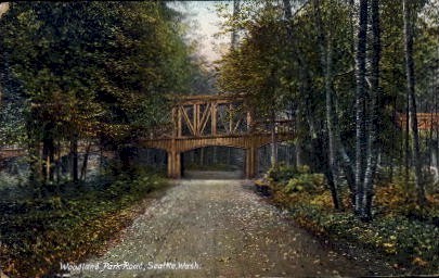 Woodland Park Road - Seattle, Washington WA Postcard