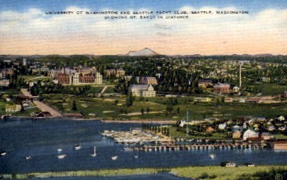 University Of Washington - Seattle Postcard