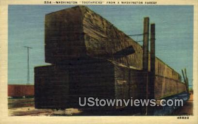 Washingotn Toothpicks - Washington Forest Postcards, Washington WA Postcard