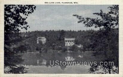 Sea Lion Lake - Florence, Wisconsin WI Postcard