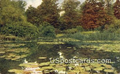 Lily Pond, Humboldt Park - MIlwaukee, Wisconsin WI Postcard