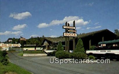 Wisconsin Duck Dock - Misc Postcard