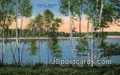 Meinke's Original Hillside Resort - Fox Lake, Wisconsin WI Postcard