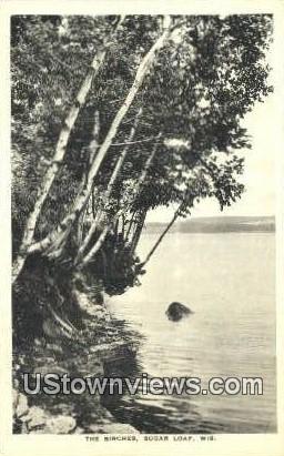 The Birches - Sugar Loaf, Wisconsin WI Postcard