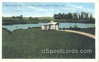 Spring House & Lagoon, Moor Mudd Baths - Waukesha, Wisconsin WI Postcard