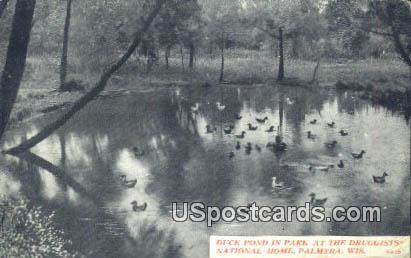 Duck Pond, Druggists National Home - Palmyra, Wisconsin WI Postcard