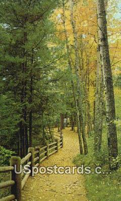 Copper Falls State Park - Mellen, Wisconsin WI Postcard