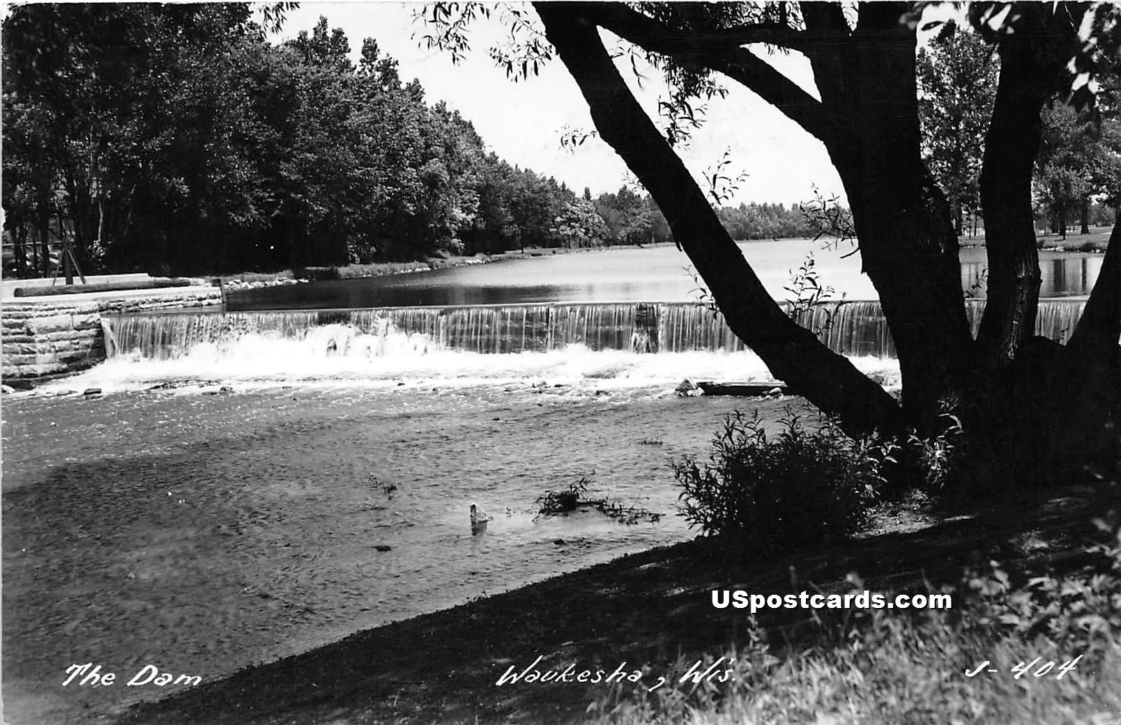 The Dam - Waukesha, Wisconsin WI Postcard